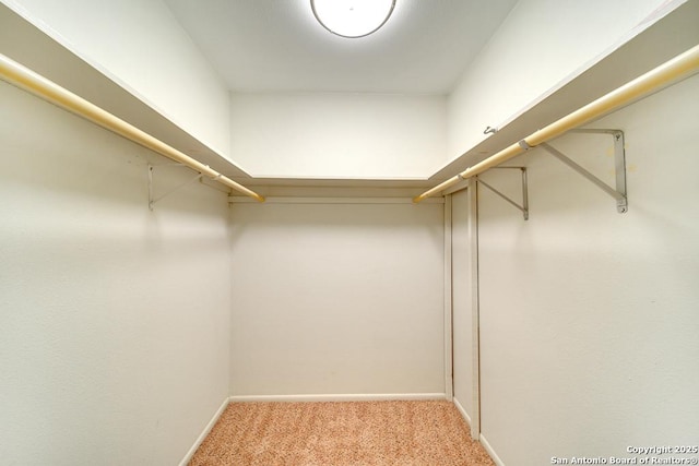 spacious closet with light carpet