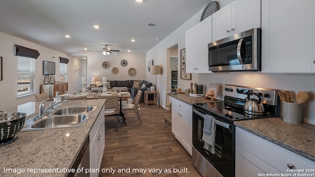 kitchen featuring appliances with stainless steel finishes, dark hardwood / wood-style flooring, stone countertops, and sink