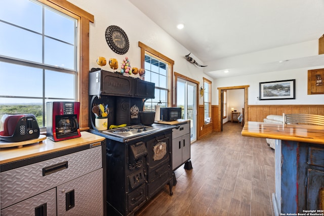 kitchen with dark hardwood / wood-style floors and wooden walls