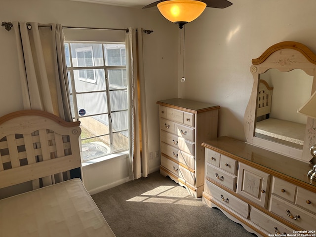 bedroom featuring multiple windows and dark colored carpet