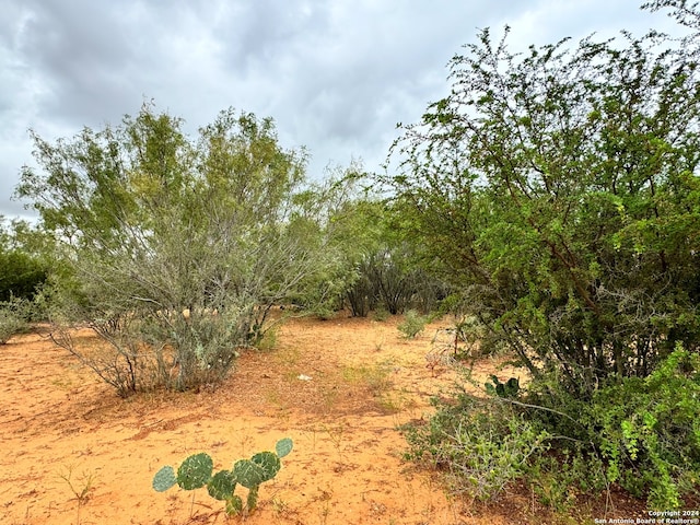 view of nature