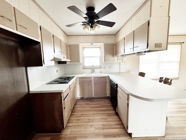 kitchen with black appliances, light hardwood / wood-style floors, kitchen peninsula, sink, and ceiling fan