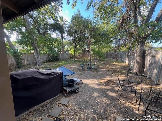 view of yard featuring a patio