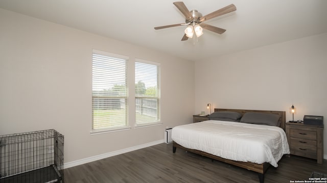 bedroom featuring multiple windows, dark hardwood / wood-style flooring, and ceiling fan