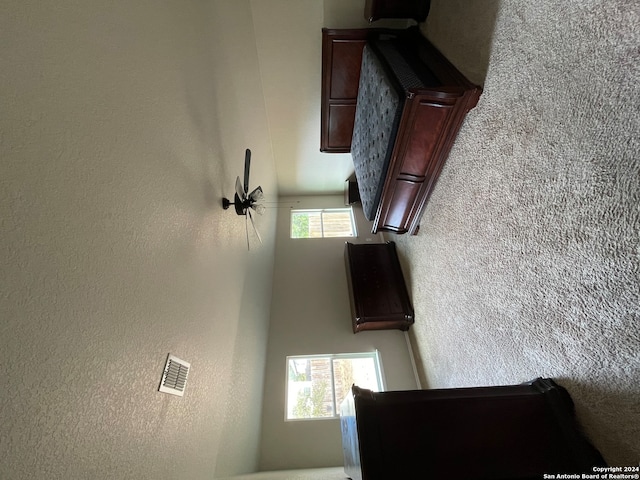 bedroom with multiple windows