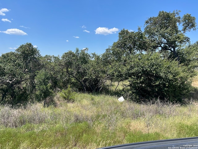 34717 Carries Creek Dr, Bulverde TX, 78163 land for sale