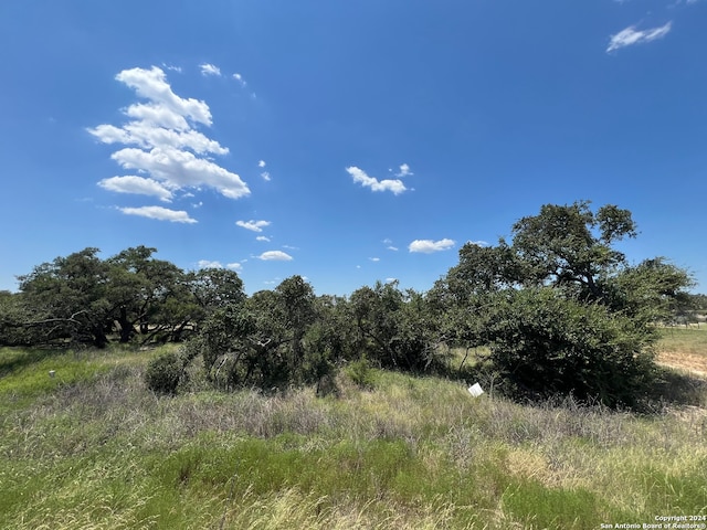 Listing photo 2 for 34717 Carries Creek Dr, Bulverde TX 78163