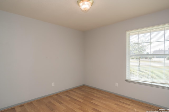 empty room with light wood-type flooring and a wealth of natural light