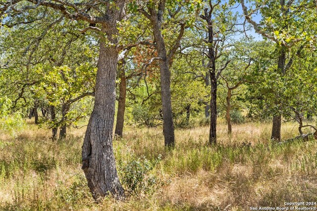 Listing photo 2 for TBD Herbert-Schaefer, Fredericksburg TX 78624