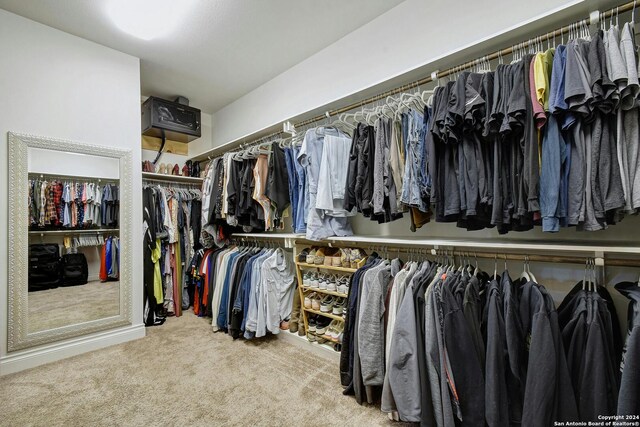 walk in closet with carpet flooring