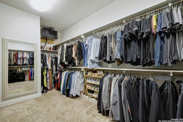 spacious closet featuring carpet flooring