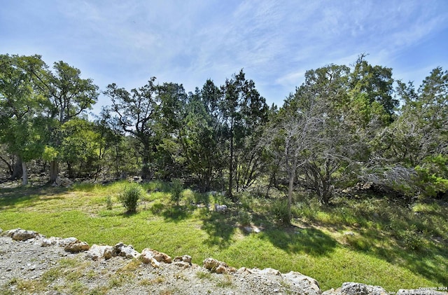 view of landscape