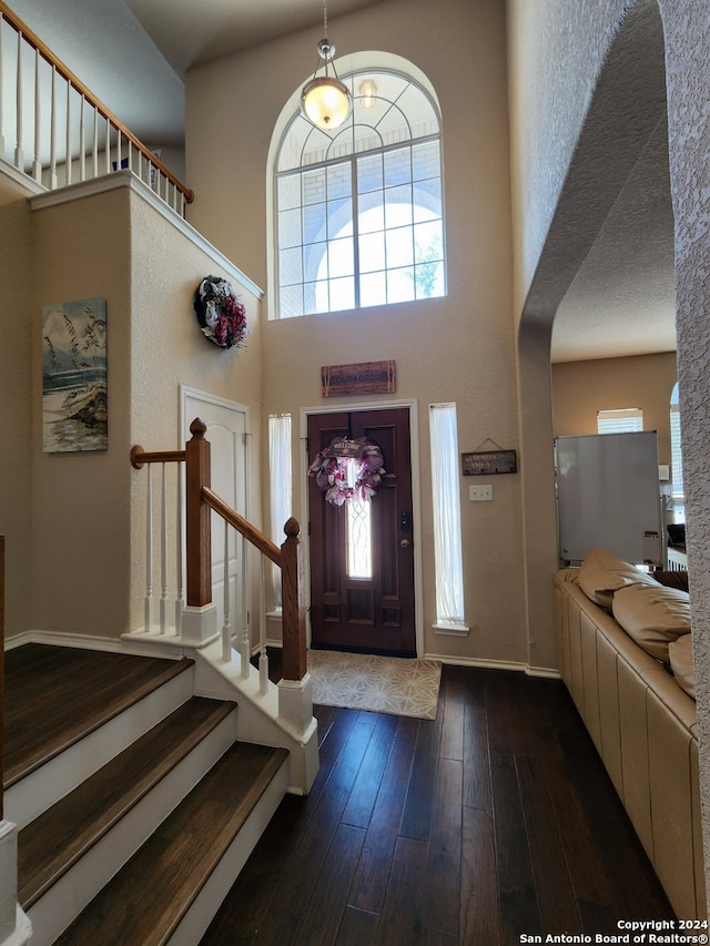 entryway with a high ceiling, dark hardwood / wood-style floors, and plenty of natural light