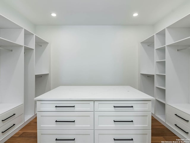 spacious closet featuring dark wood-type flooring