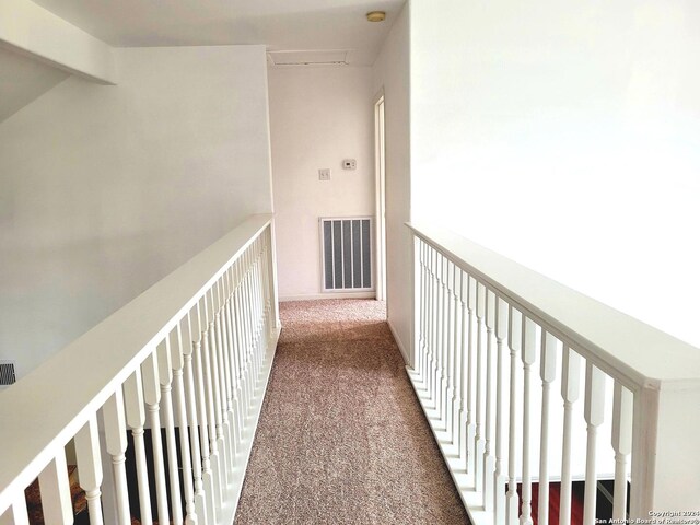 empty room with a healthy amount of sunlight and carpet flooring