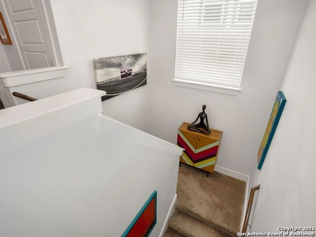 bedroom featuring carpet