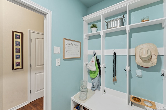 mudroom featuring dark hardwood / wood-style floors