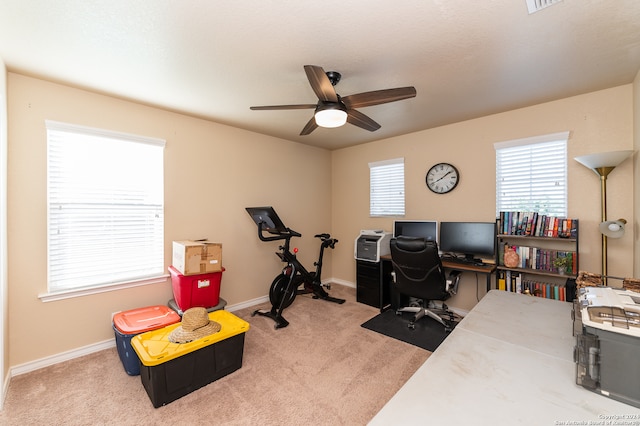 office area featuring ceiling fan and carpet floors