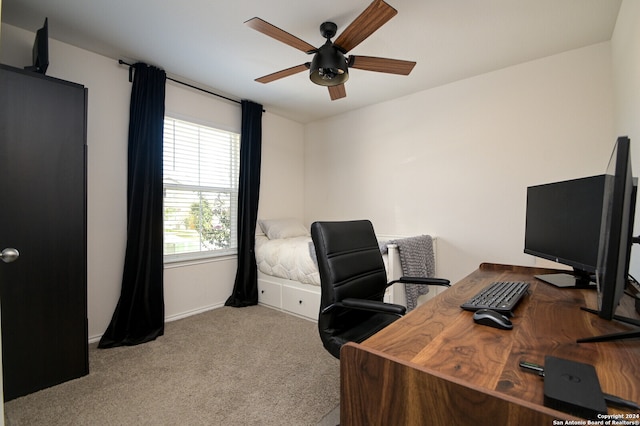 office featuring ceiling fan and carpet floors