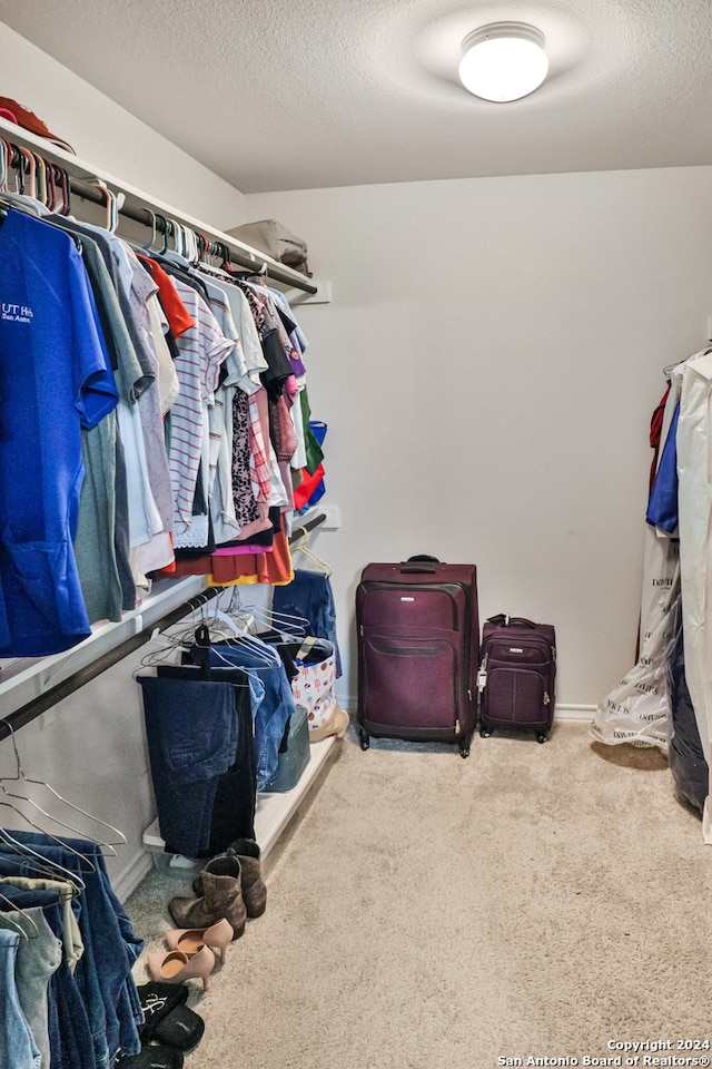 spacious closet featuring carpet floors