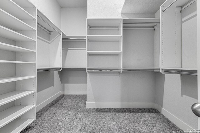 spacious closet with carpet