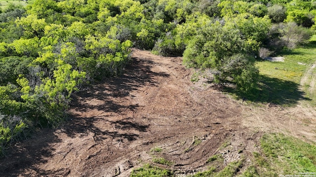 Listing photo 3 for 000 Mineral Cemetery Rd, Beeville TX 78102