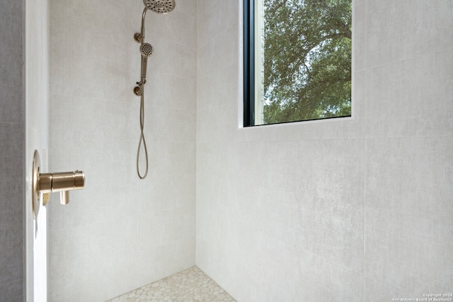 interior space featuring tiled shower