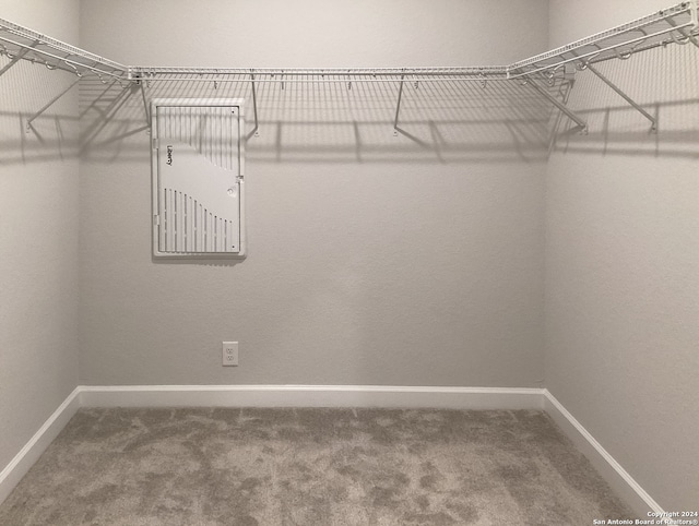 walk in closet featuring carpet flooring