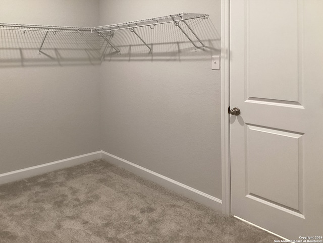 walk in closet with carpet