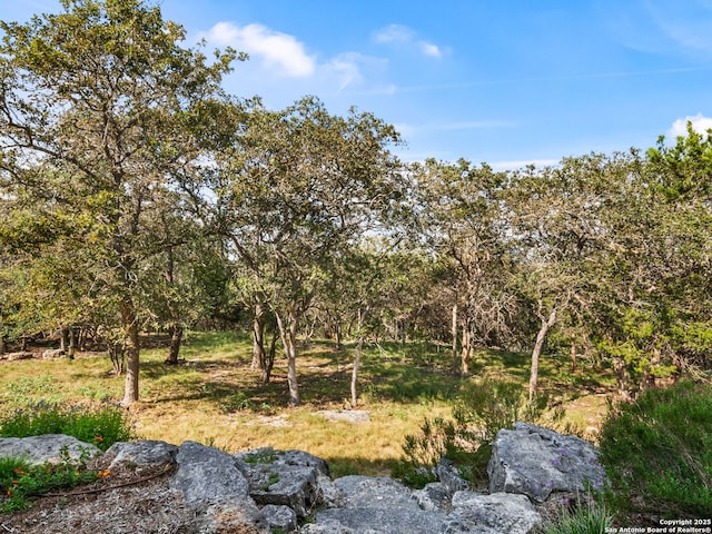 view of landscape