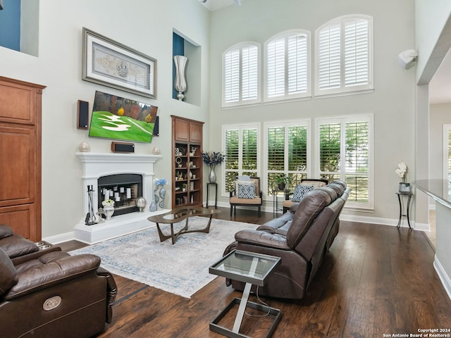 living room featuring a towering ceiling and dark hardwood / wood-style flooring