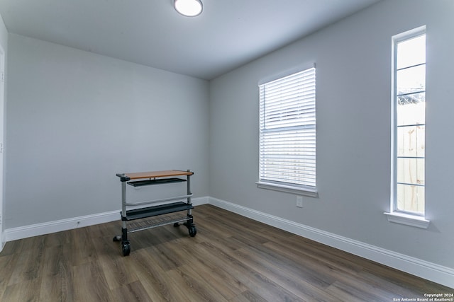 interior space featuring plenty of natural light and wood-type flooring