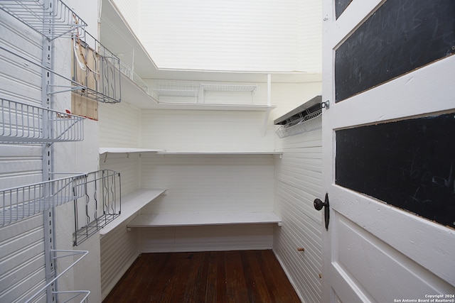 walk in closet featuring wood-type flooring