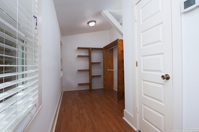 walk in closet featuring vaulted ceiling and dark hardwood / wood-style flooring