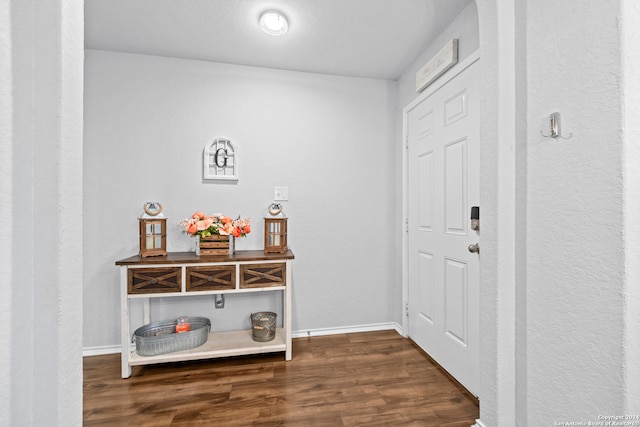 foyer with dark hardwood / wood-style floors