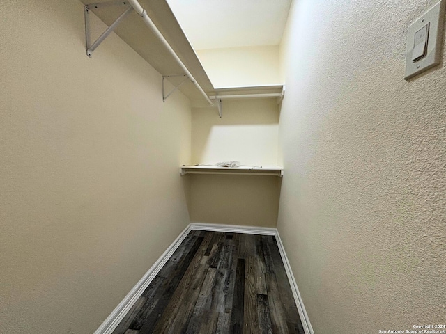 spacious closet with dark hardwood / wood-style floors