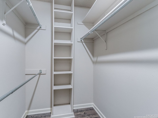 walk in closet with wood-type flooring