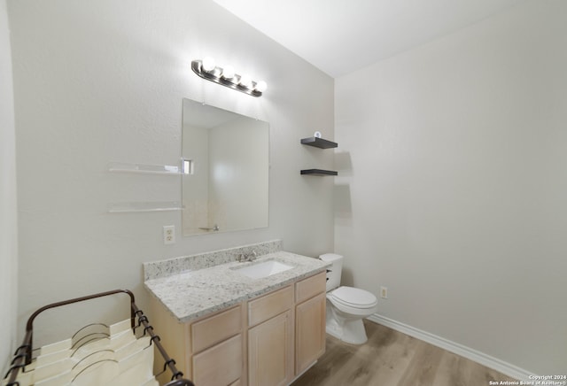 bathroom featuring vanity, toilet, and wood-type flooring