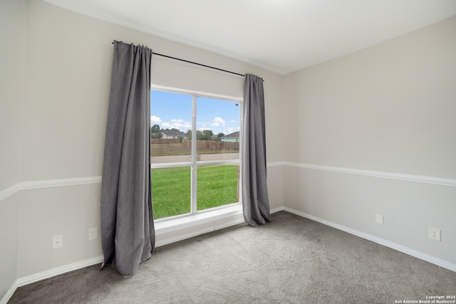 unfurnished room with light colored carpet and a wealth of natural light