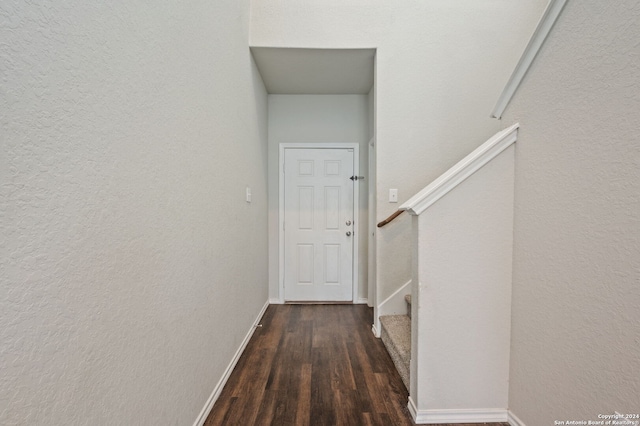 doorway to outside featuring dark wood-type flooring