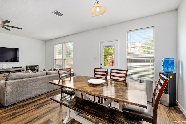 dining space with a wealth of natural light, hardwood / wood-style floors, and ceiling fan