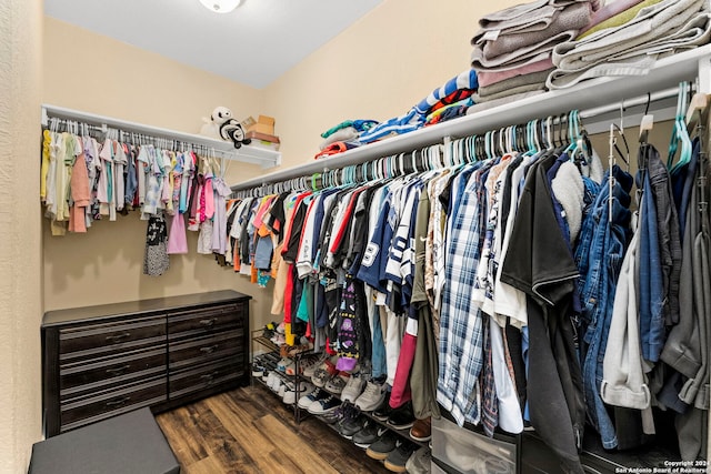 walk in closet with dark wood-type flooring