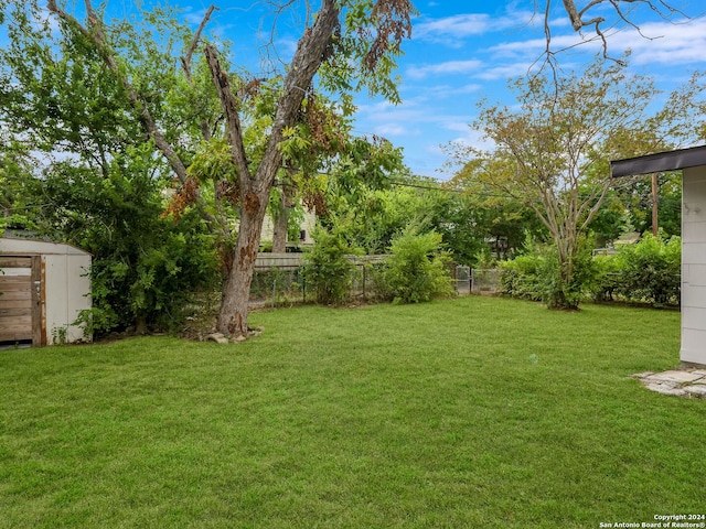 view of yard featuring a storage shed