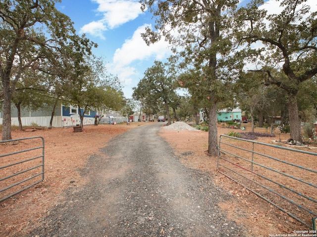 view of street featuring driveway, a gate, and a gated entry