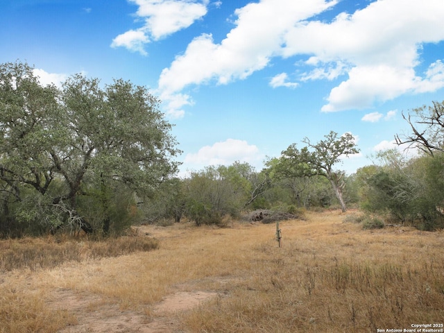 view of local wilderness