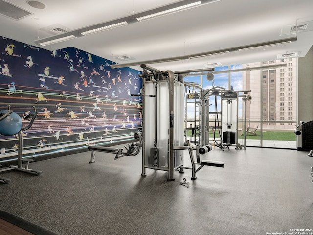 workout area featuring expansive windows and a healthy amount of sunlight