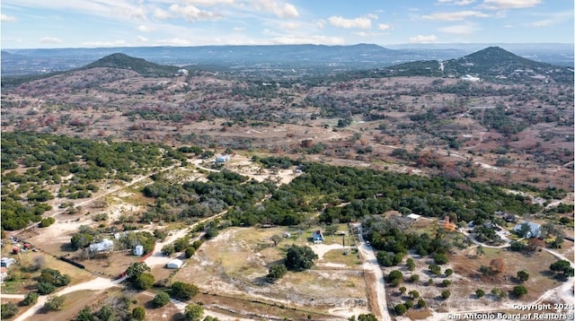 birds eye view of property featuring a mountain view