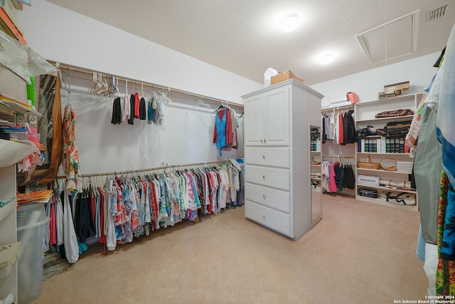 walk in closet with light carpet