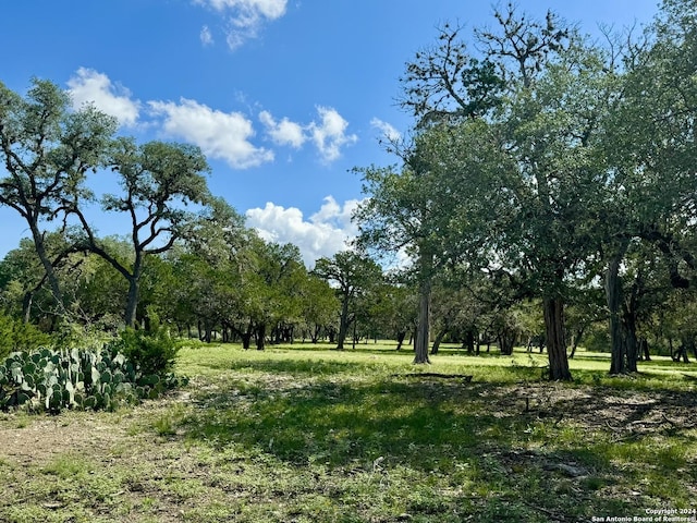 Listing photo 2 for 101 Patterson Dr, Leakey TX 78873