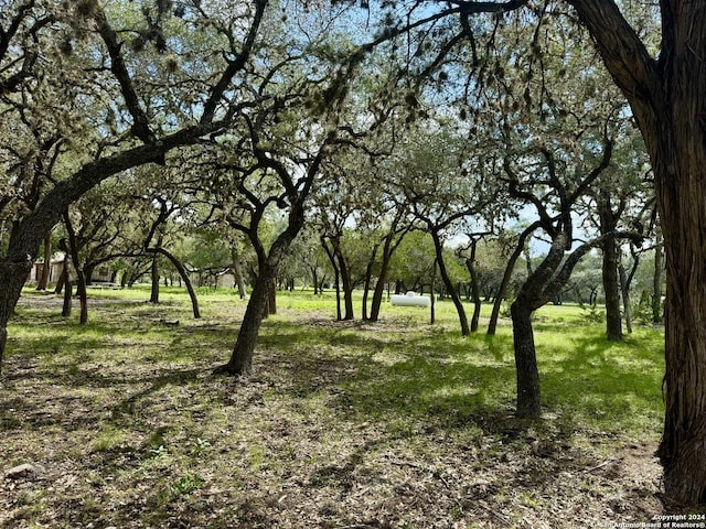 Listing photo 3 for 101 Patterson Dr, Leakey TX 78873